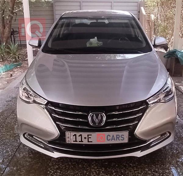 شانجان السفن 2024 للبيع في العراق - كربلاء